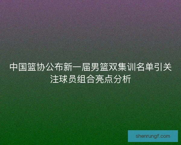 中国篮协公布新一届男篮双集训名单引关注球员组合亮点分析